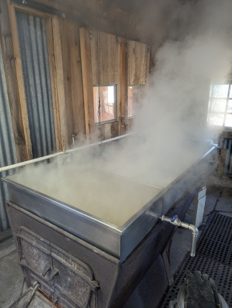 1st Boil Feb 19, 2026