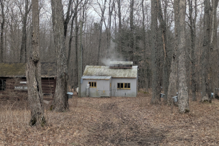 Before Blizzard Elsa March 14 2026