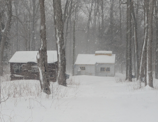 Blizzard Elsa March 16 2026